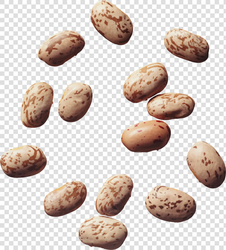 Kidney Beans Png   Pinto Bean Clipart  Transparent PngTransparent PNG