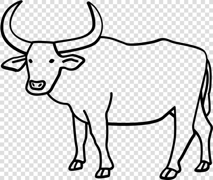 Water Coloring Page Adult   Carabao Black And White Clipart  HD Png DownloadTransparent PNG