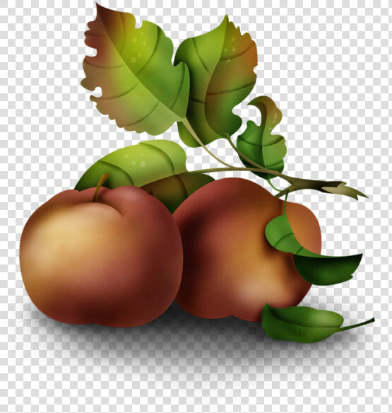Tubes Fruits tubes Legumes clipart png Fruit psp vector   Fruit  Transparent PngTransparent PNG