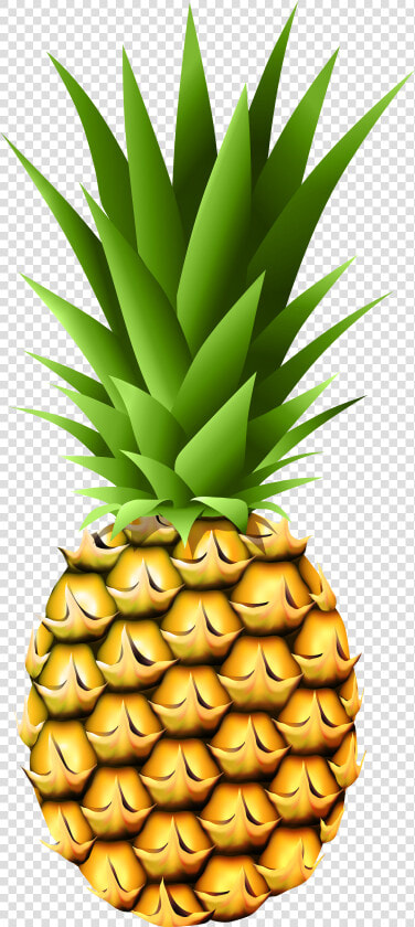 Fruits Transparent Pineapple   Pineapple Transparent Background  HD Png DownloadTransparent PNG