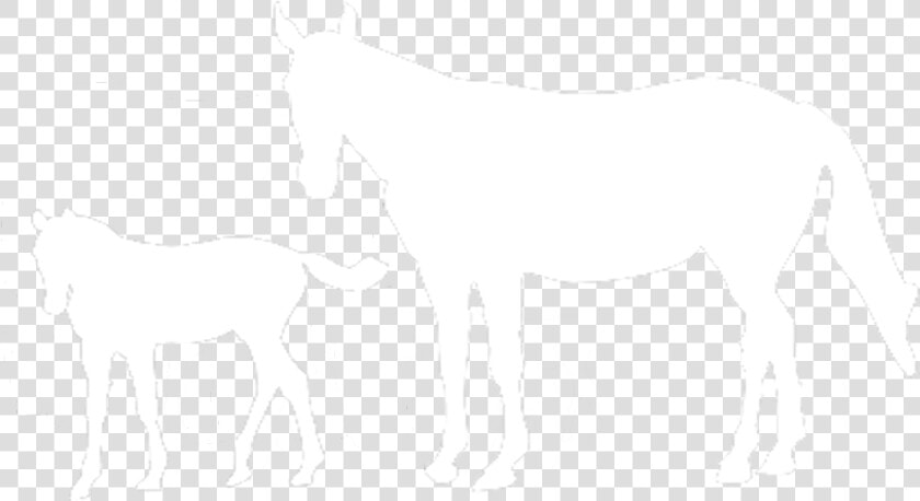 International Races  HD Png DownloadTransparent PNG