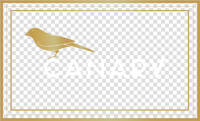 Transparent White Canary Png   Emberizidae  Png DownloadTransparent PNG