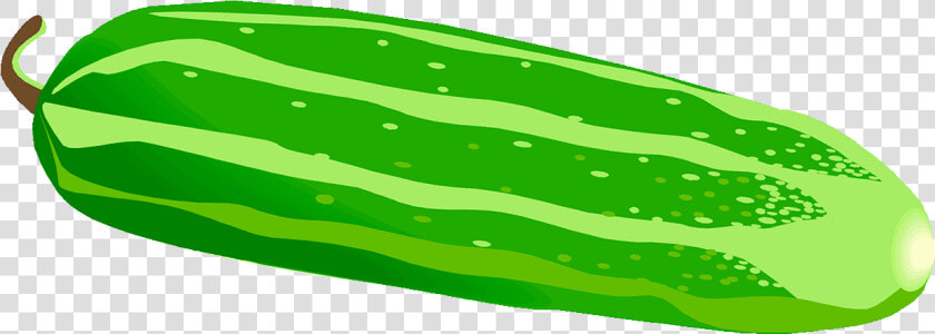 Cucumber Clipart Png Cucumber   Cucumber Clipart  Transparent PngTransparent PNG