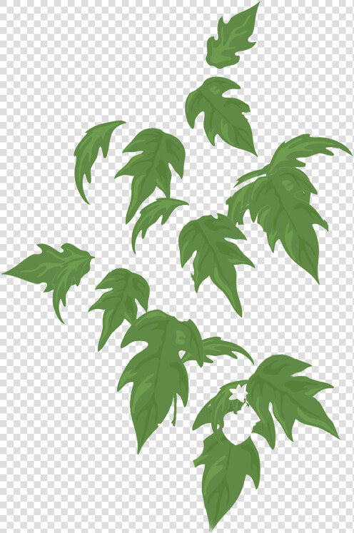 Swamp Maple  HD Png DownloadTransparent PNG
