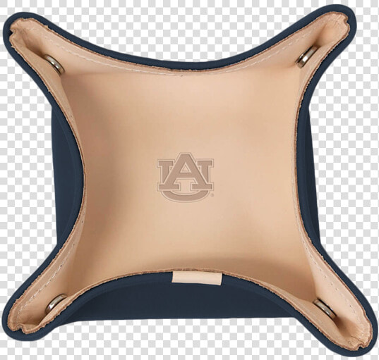 Auburn University Catch All   Jon Hart  HD Png DownloadTransparent PNG