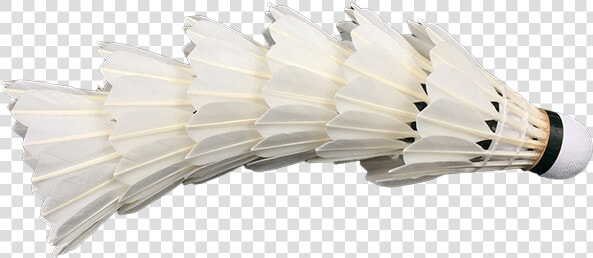 Venta Al Por Mayor De Adn Flypower Bádminton Shuttlecock  HD Png DownloadTransparent PNG