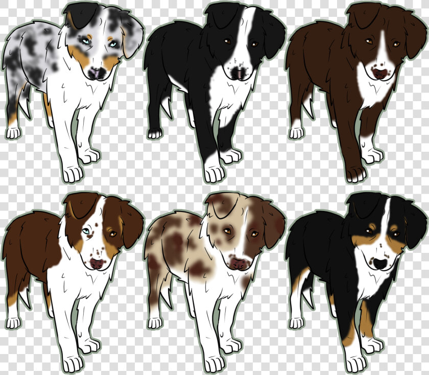Australian Shepherd Clipart Australian Shepherd Herding   Draw An Australian Shepherd Easy  HD Png DownloadTransparent PNG