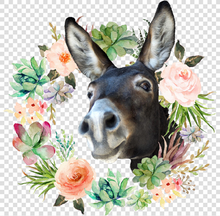 Coroa De Flores Png  Transparent PngTransparent PNG