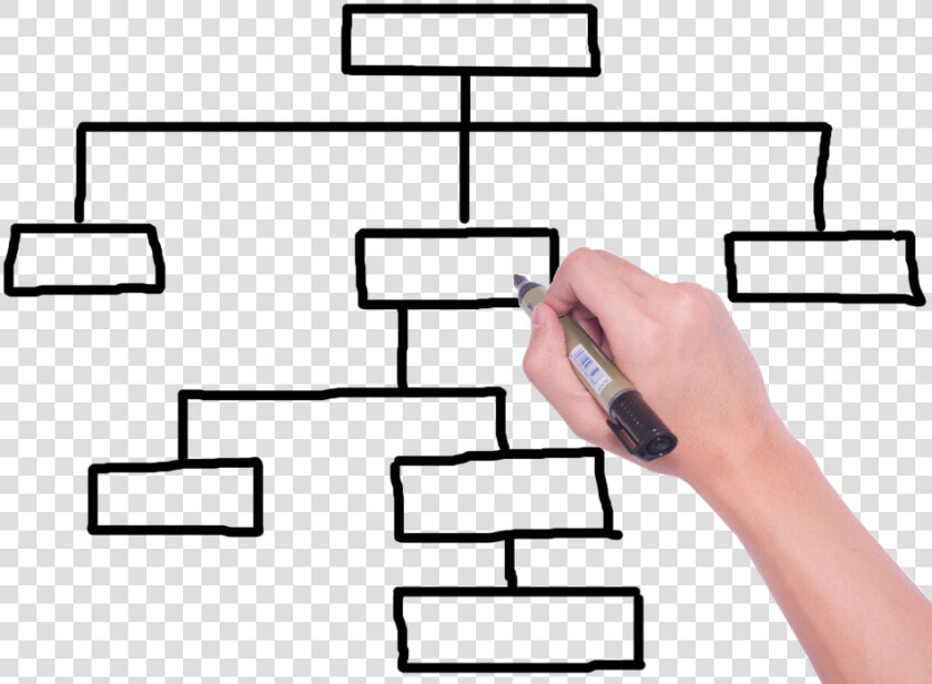 Sitemap  Pedigree  Website Hierarchy   Site Map  HD Png DownloadTransparent PNG