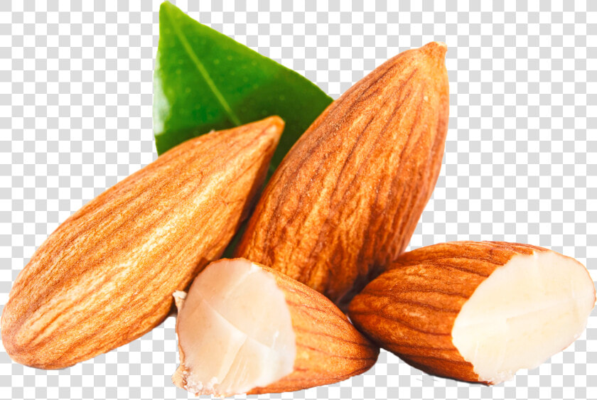Almond Organic Food Nut Carrier Oil   Almond Png  Transparent PngTransparent PNG
