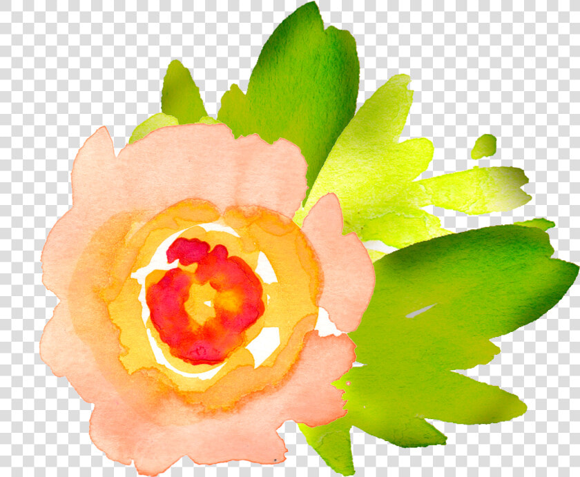 Lime Clipart Watercolour   Clip Art Watercolor Flower Images Free  HD Png DownloadTransparent PNG