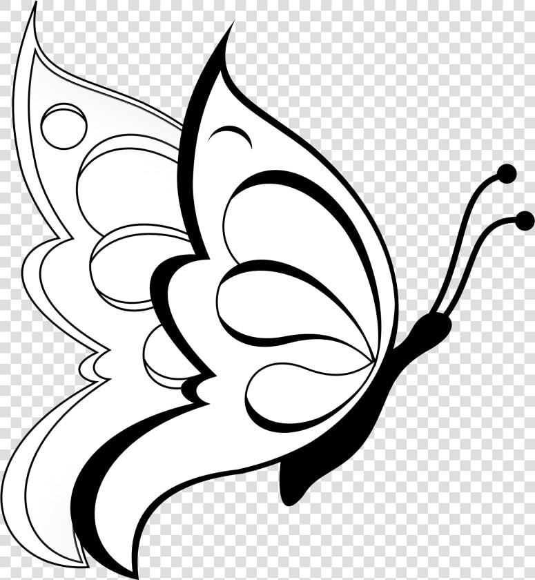 Butterfly Clipart Butterfly 19 Black White Line Art   Easy Beautiful Butterfly Drawing  HD Png DownloadTransparent PNG