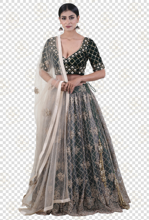 Night Garden Lehenga Choli   Photo Shoot  HD Png DownloadTransparent PNG