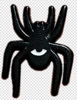 Watching Spider Pin   Tarantula  HD Png DownloadTransparent PNG