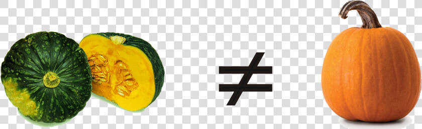 Kabokin   Squash And Pumpkin Difference  HD Png DownloadTransparent PNG