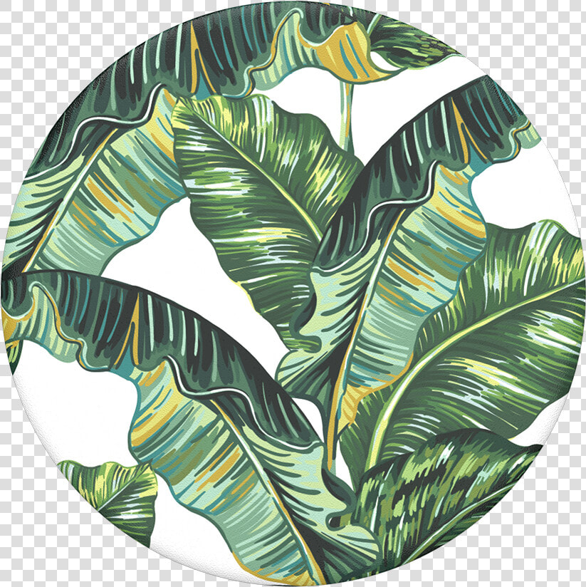 Banana Republican Popsocket  HD Png DownloadTransparent PNG