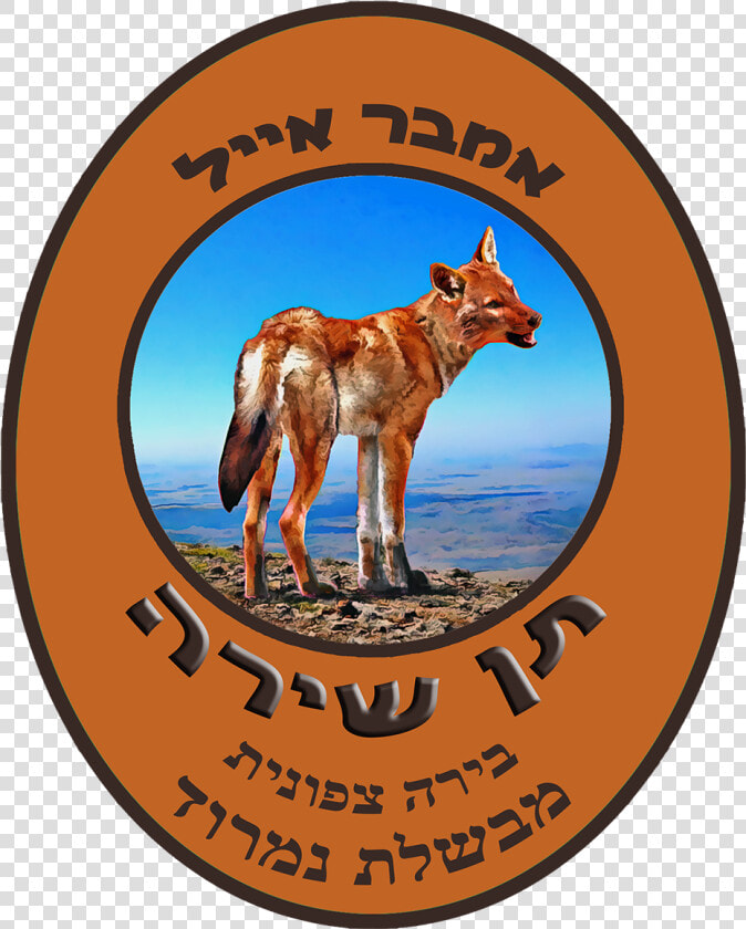 Jackal Png  Transparent PngTransparent PNG
