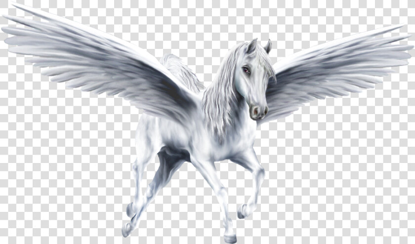 Pegasus Png Image   Pegasus Png  Transparent PngTransparent PNG
