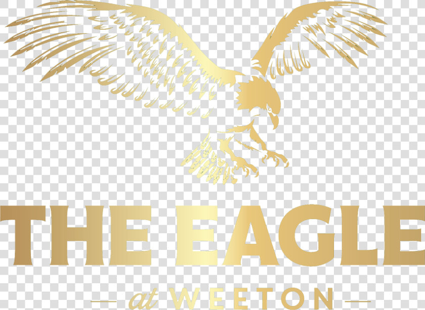 Eagle Logo   Island In Pigeon Forge Logo  HD Png DownloadTransparent PNG