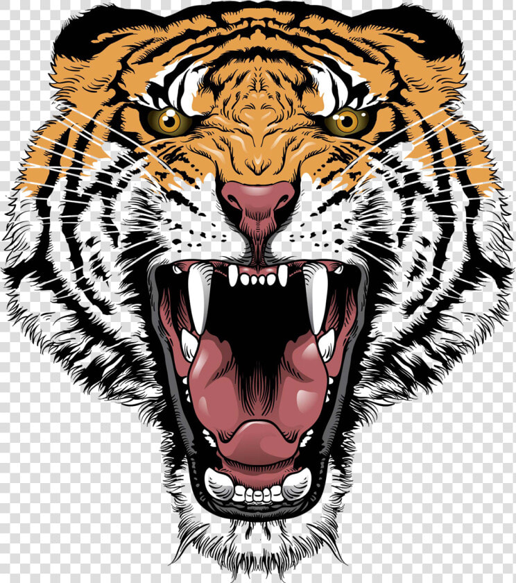 Tiger Face Transparent Png   Tiger Face Transparent Background  Png DownloadTransparent PNG