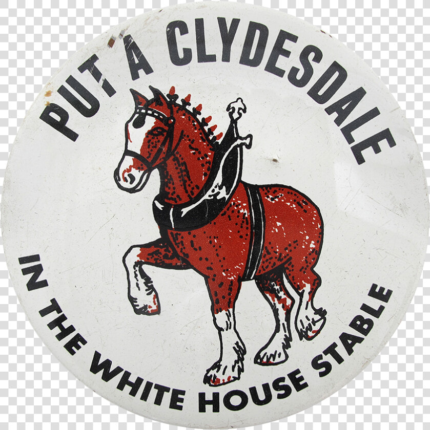 Clydesdale In The White House Beer Button Museum   Mane  HD Png DownloadTransparent PNG