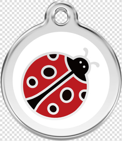 Medallas De Lady Bug  HD Png DownloadTransparent PNG