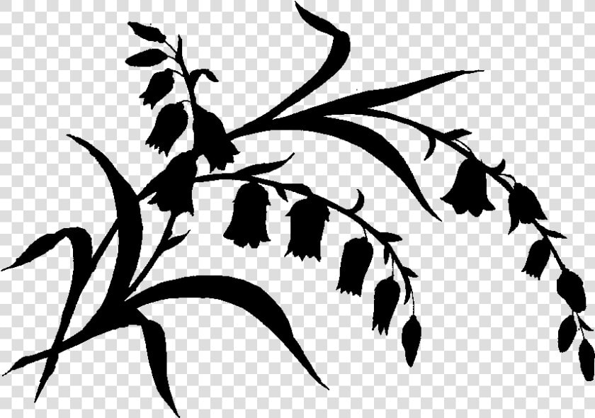 Transparent Zoom Clipart   Esquinero Png  Png DownloadTransparent PNG