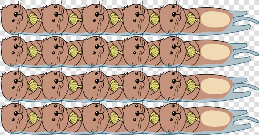 Sea Otter Clipart Transparent   Cartoon  HD Png DownloadTransparent PNG