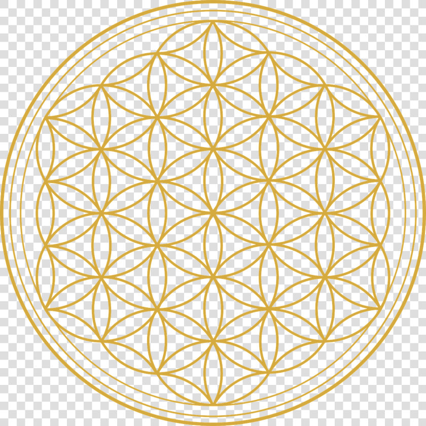 Transparent Flower Of Life Png   Flower Of Life Tattoo Outline  Png DownloadTransparent PNG