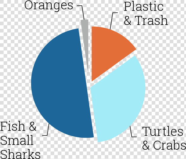 Updated Graph   Tiger Sharks Eating Trash  HD Png DownloadTransparent PNG