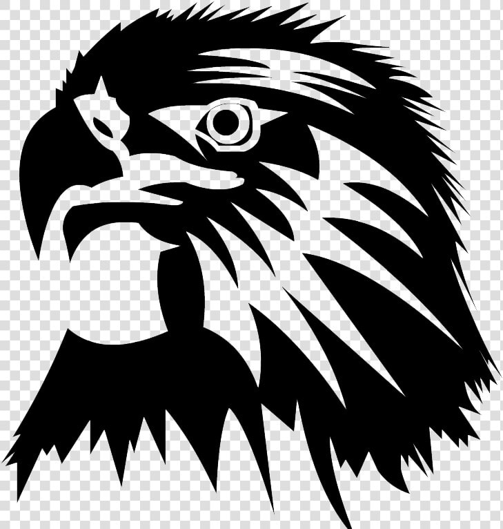 Eagle Clip Art   Eagle Head Png  Transparent PngTransparent PNG