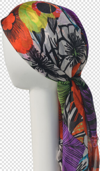 Stole  HD Png DownloadTransparent PNG