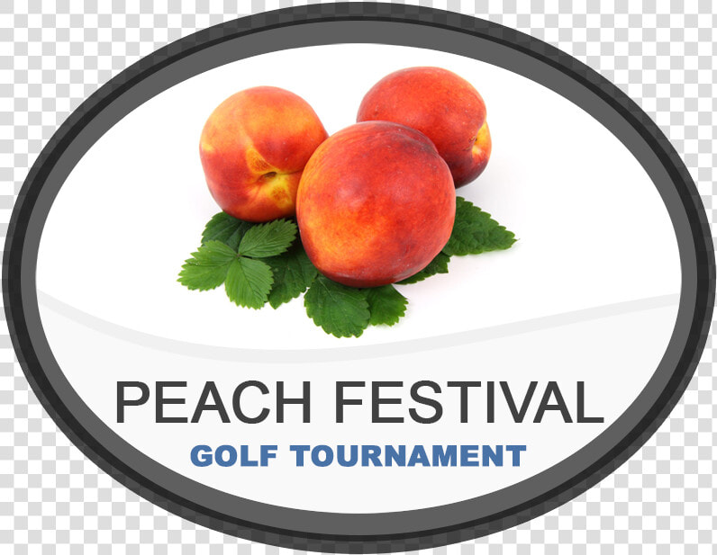 Ladies Open Golf Tourney  HD Png DownloadTransparent PNG