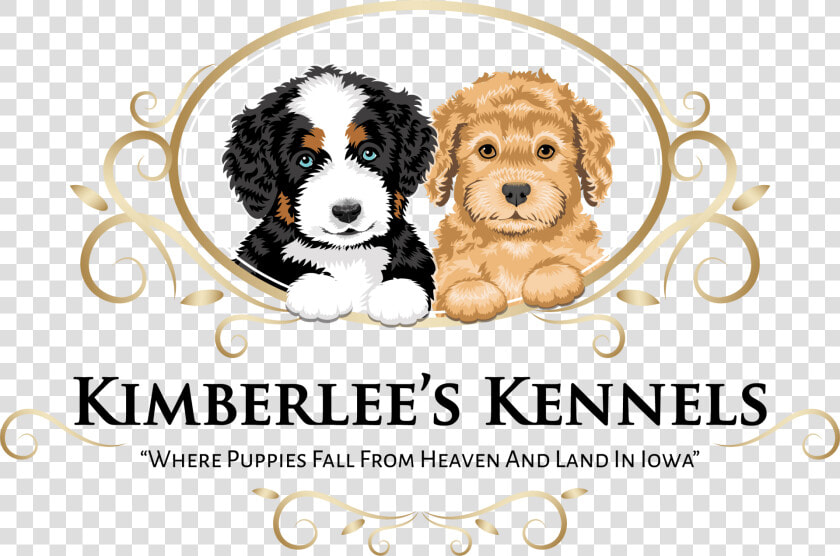 Companion Dog  HD Png DownloadTransparent PNG
