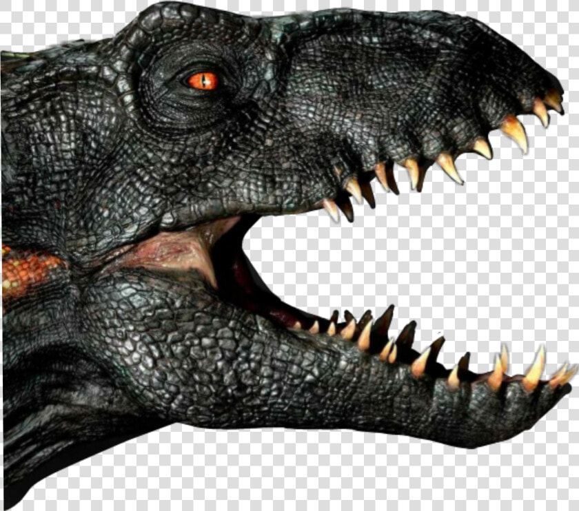  jurassicworld  jurassicworld2  indoraptor  dinosaur   Jurassic World Indoraptor Head  HD Png DownloadTransparent PNG