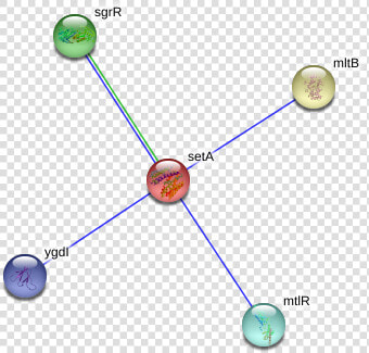 Seta Protein   Circle  HD Png DownloadTransparent PNG