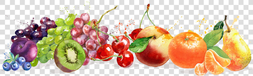 David Del Curto   Imagenes De Frutas Png  Transparent PngTransparent PNG