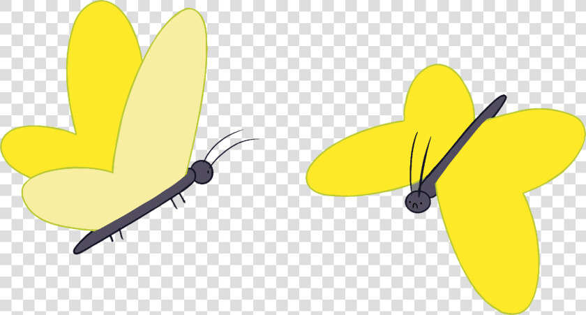 Adventure Time With Finn And Jake Wiki   Cartoon Butterfly Adventure Time  HD Png DownloadTransparent PNG