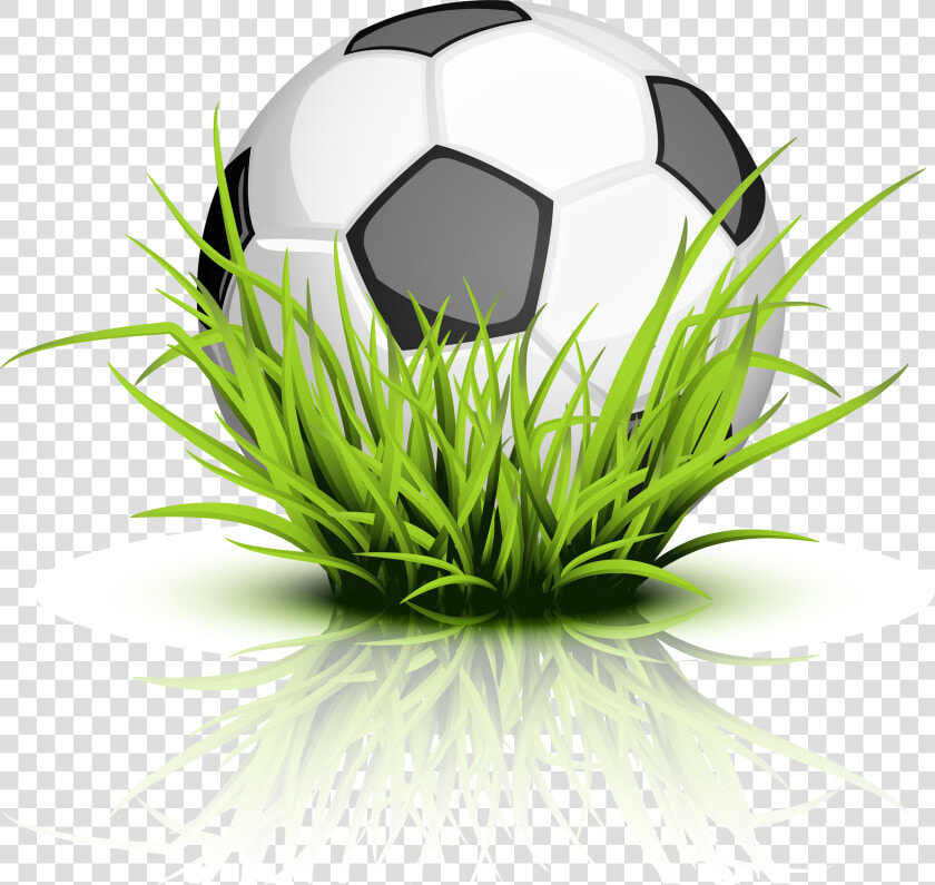 Soccer Ball Grass Transparent   Soccer Ball With Grass Png  Png DownloadTransparent PNG