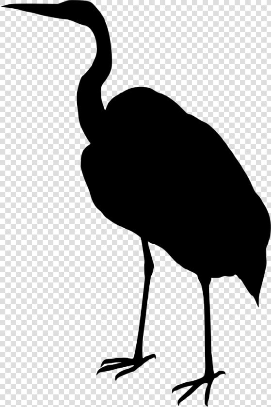 Scalable Vector Graphics  HD Png DownloadTransparent PNG