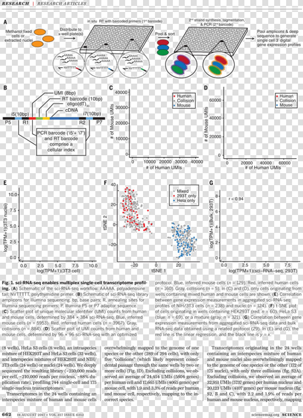 Untitled  Tailpiece  Pg   Combinatorial Indexing Rna Seq  HD Png DownloadTransparent PNG