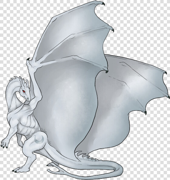 Tyrion Png  Transparent PngTransparent PNG