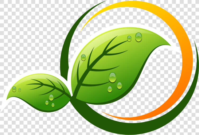 All Natural 100  Vg   Logo Hoja  HD Png DownloadTransparent PNG