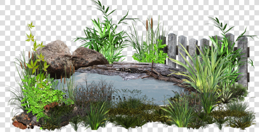 Pond Png  Transparent PngTransparent PNG