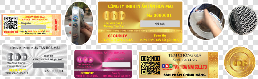 Tem Chong Gia Tan Hoa Mai Banner   Skateboard  HD Png DownloadTransparent PNG