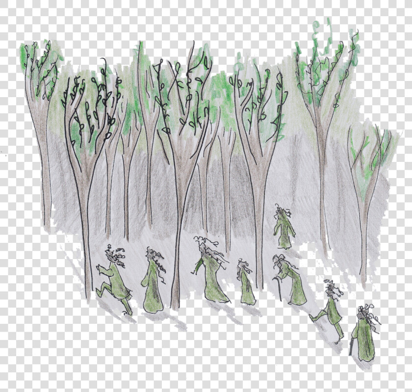 Tree Spirits Illustration   Sketch  HD Png DownloadTransparent PNG