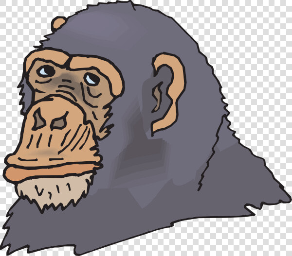 Chimpanzee  HD Png DownloadTransparent PNG