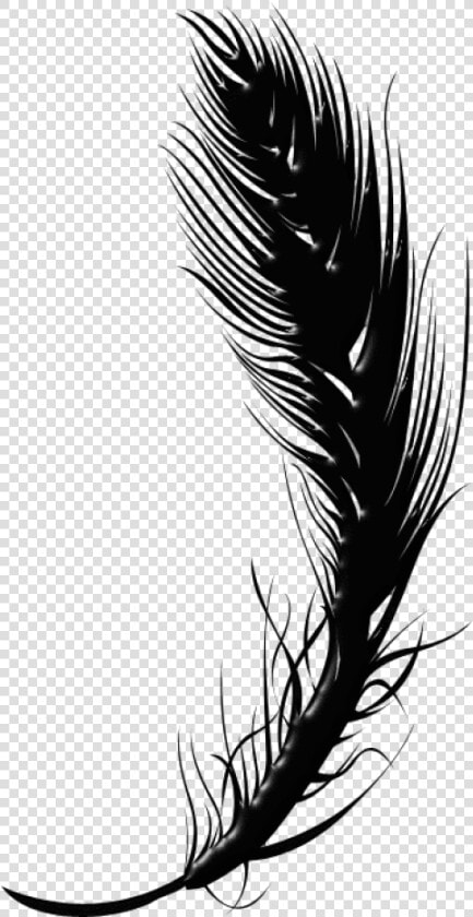Feather Pen Png   Clipart Feather Png Black And White  Transparent PngTransparent PNG