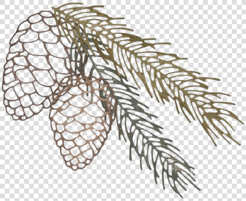 Pine Branch Png Clipart   Sizzix Pine Cone Die  Transparent PngTransparent PNG