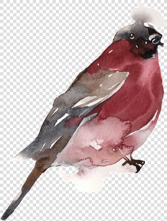 Creative Bird Water Ink Painting Transparent Watercolor   Old World Flycatcher  HD Png DownloadTransparent PNG